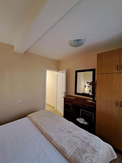 Quiet, Cozy, Luminous Apartment Τίρανα Εξωτερικό φωτογραφία