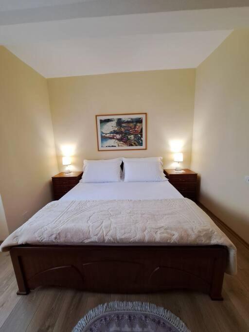 Quiet, Cozy, Luminous Apartment Τίρανα Εξωτερικό φωτογραφία