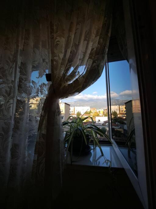 Quiet, Cozy, Luminous Apartment Τίρανα Εξωτερικό φωτογραφία