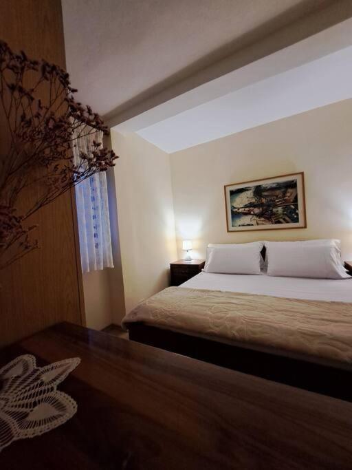 Quiet, Cozy, Luminous Apartment Τίρανα Εξωτερικό φωτογραφία